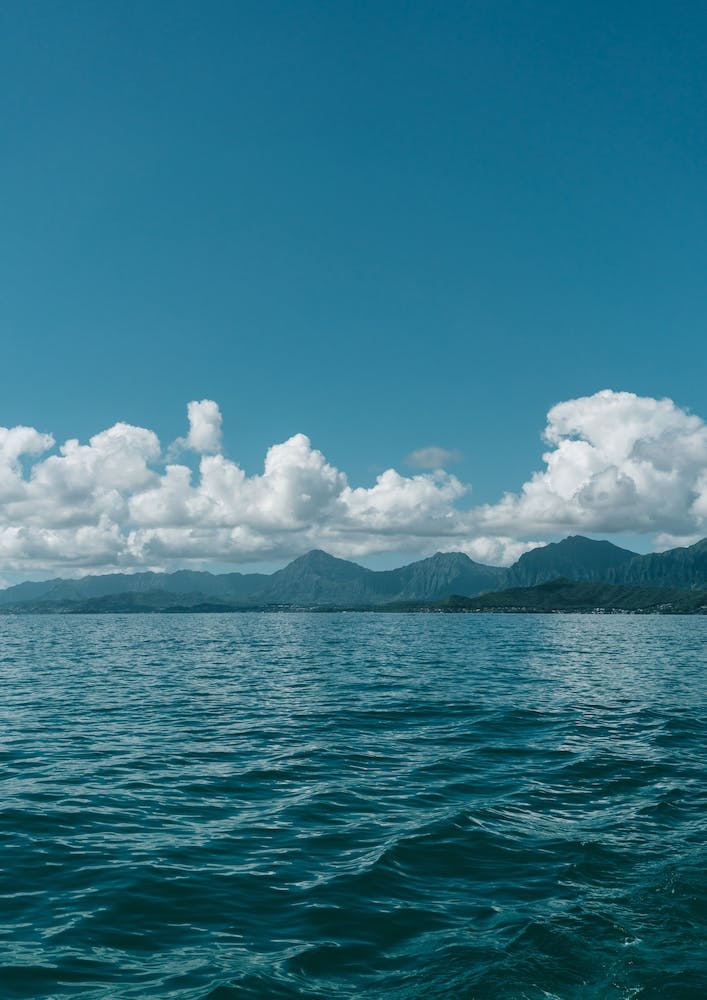 Hawaiian View