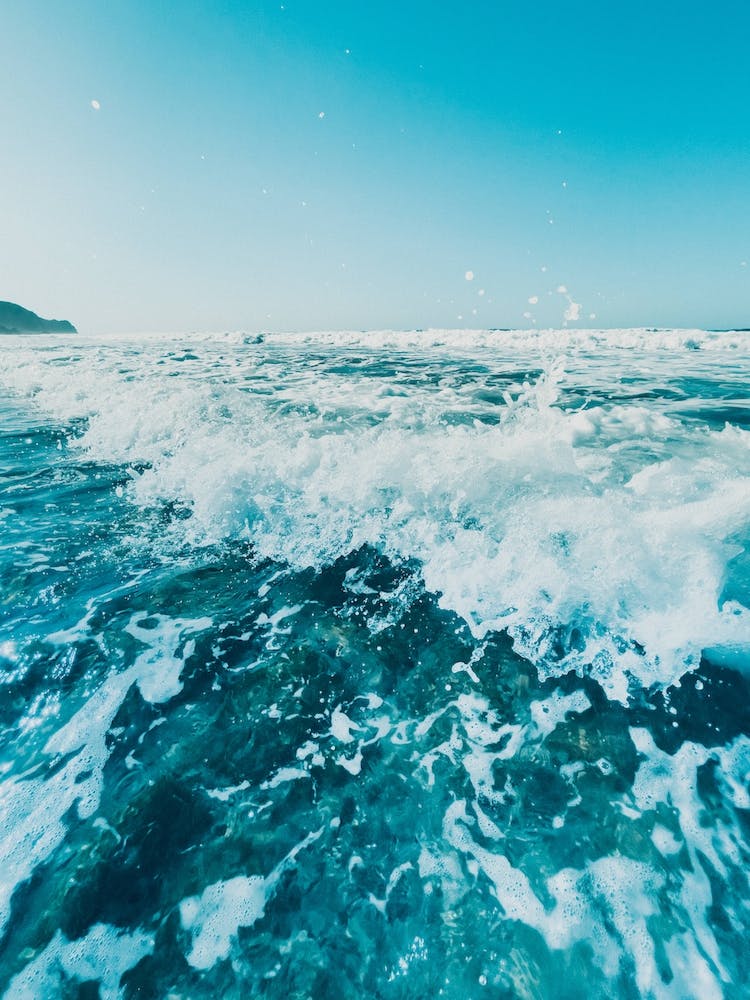 Fresh Splash