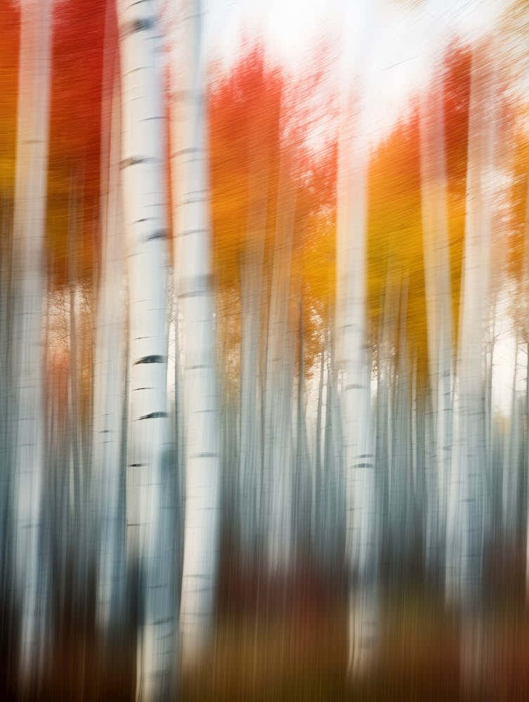 Herbst Birken Wald, Kamerabewegungs Fotografie, Natur Malerei, Bewegung Verwischt