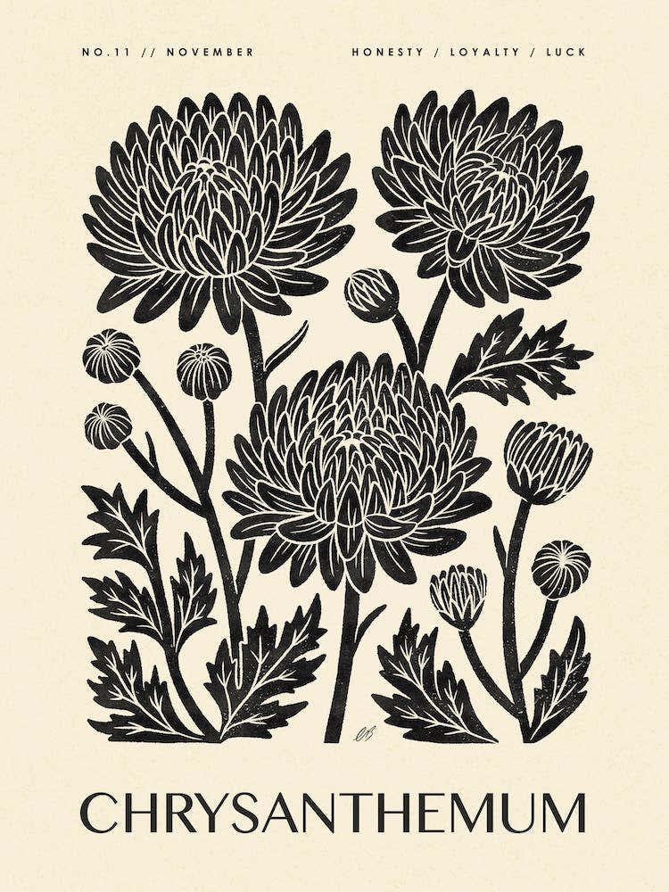Rustic November Birth Flower Chrysanthemum Black Cream