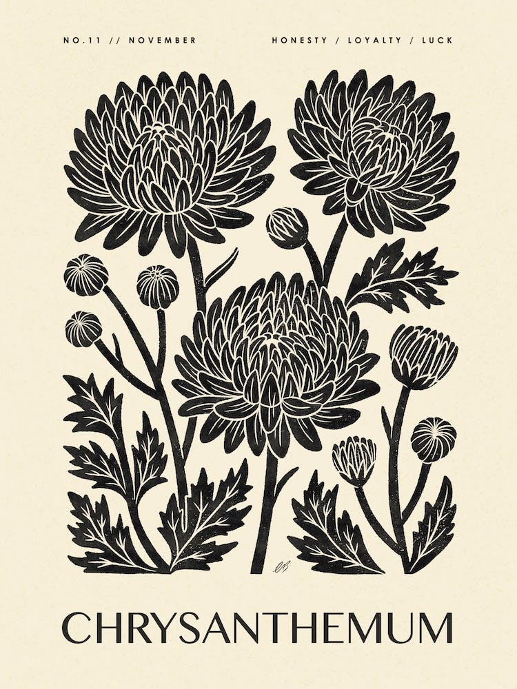 Rustic November Birth Flower Chrysanthemum Black Cream