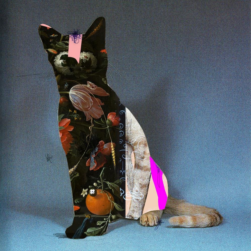 The Blue Cat Disaster Disco Dream Square