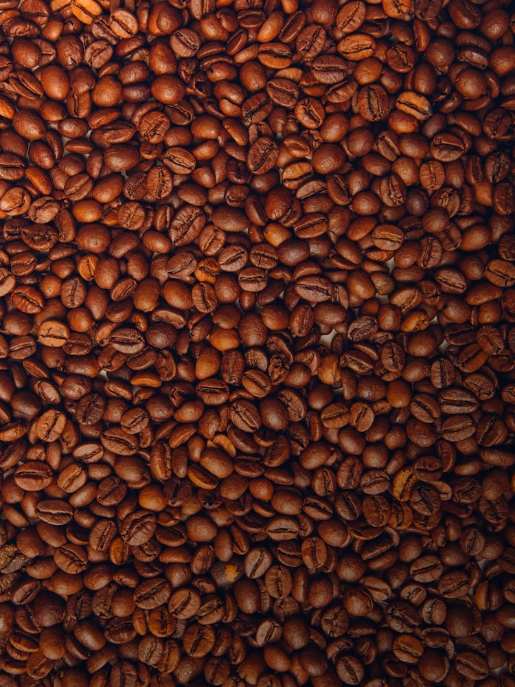 Coffee Beans - coffee vintage poster, coffee poster