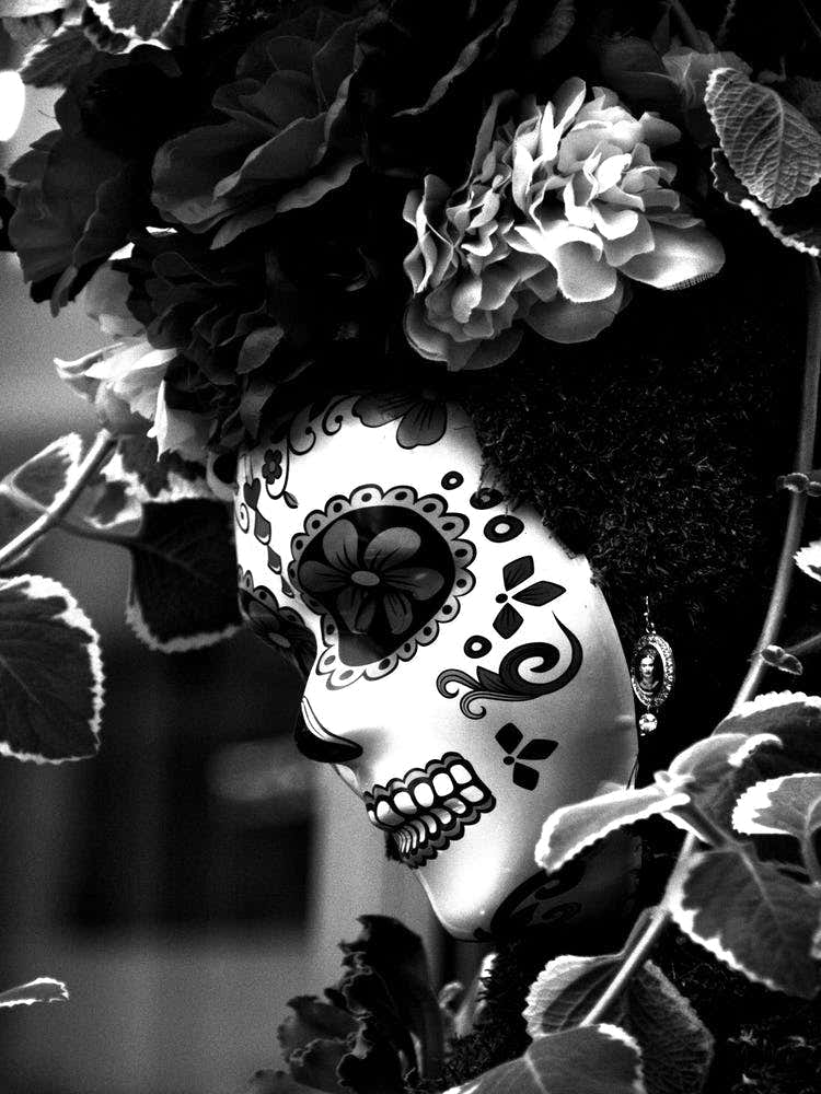 Sugar Skull Queen BW