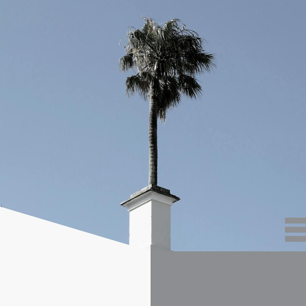 The Short and Tall of It Square