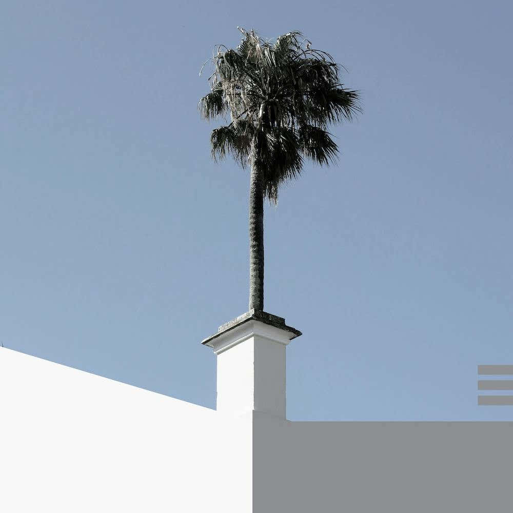 The Short and Tall of It Square