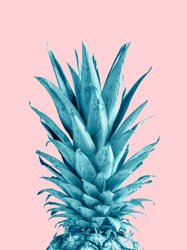 Pineapple On Pink Background_2057839