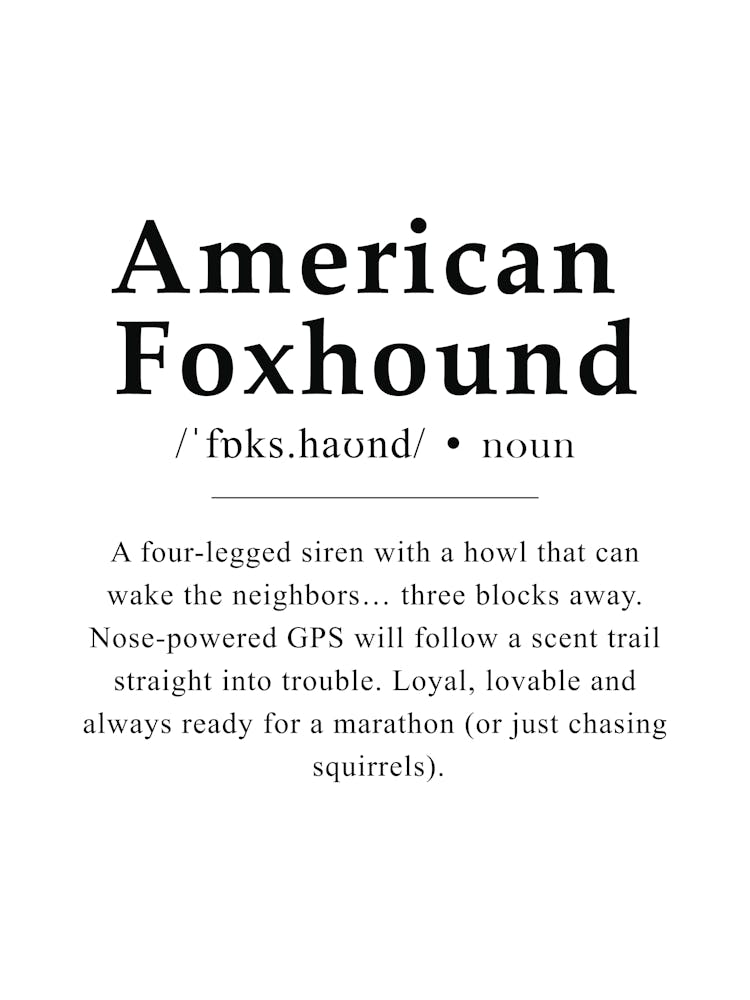 American Foxhound Definition Poster - Dictionary