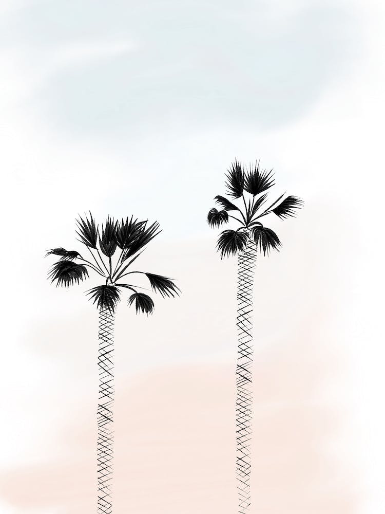 Palm Tree Sunset Darker