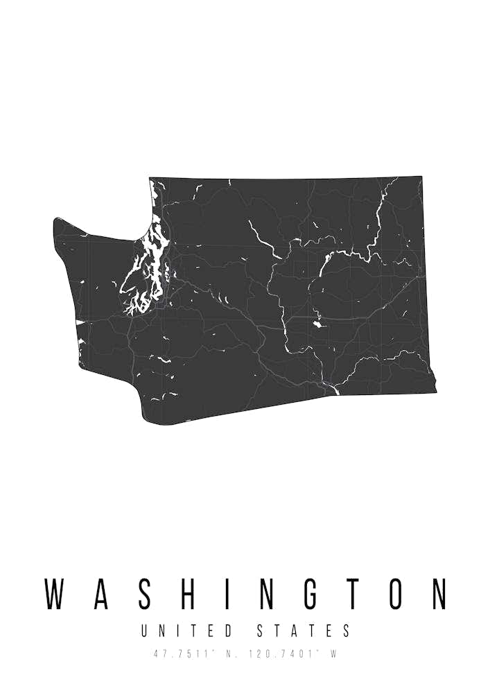 Washington Mono Black And White Modern Minimal Street Map