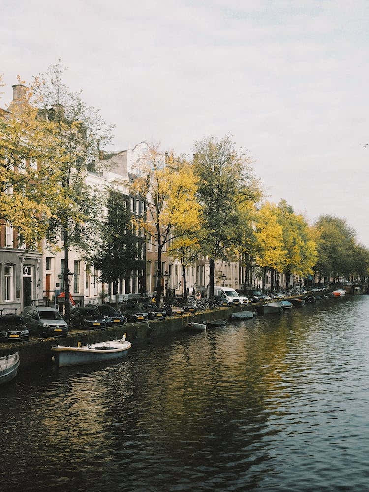 Trees Along European Canal