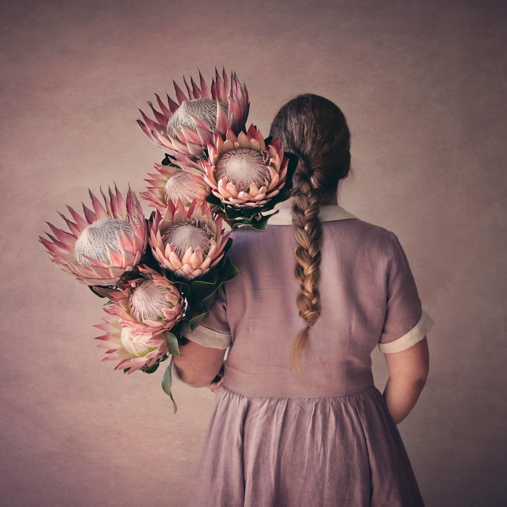 Protea Girl 1 Square