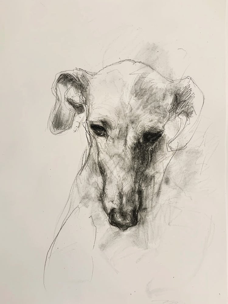 Dog Minimalist Line Charcoal Portrait