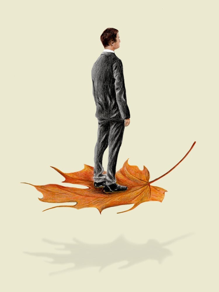 Imagine Being A Leaf, And You Can Certainly Fly