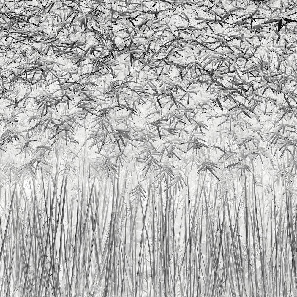 Parallelism