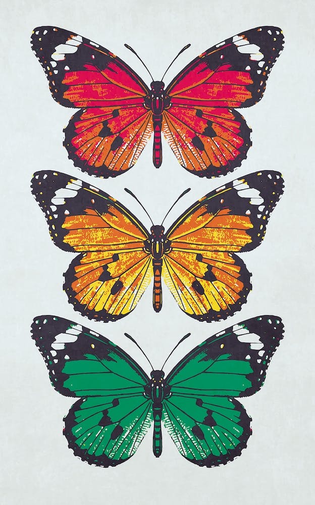 Butterflies 1