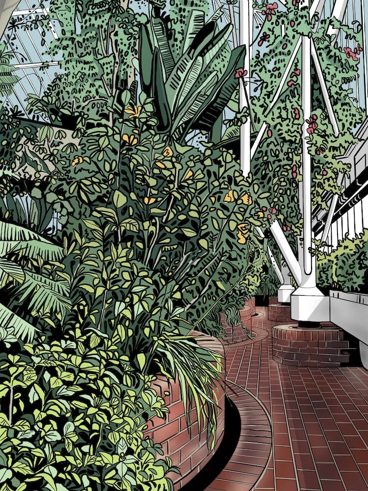 Barbican Conservatory Brick Path