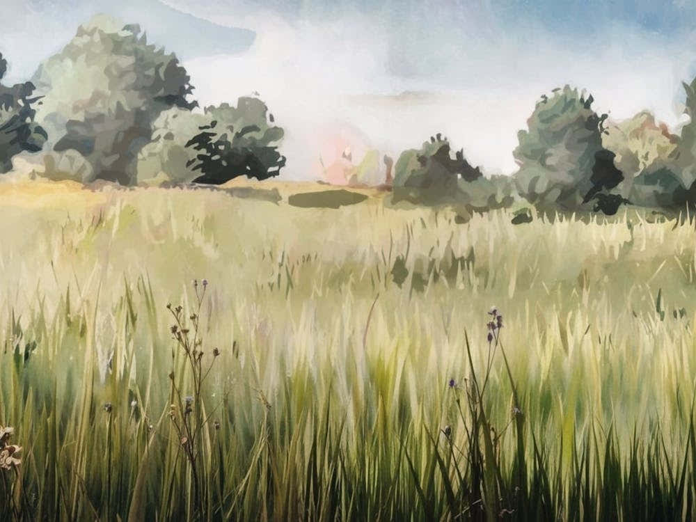 Field Of Grass Watercolor Fields, Landscape Painting