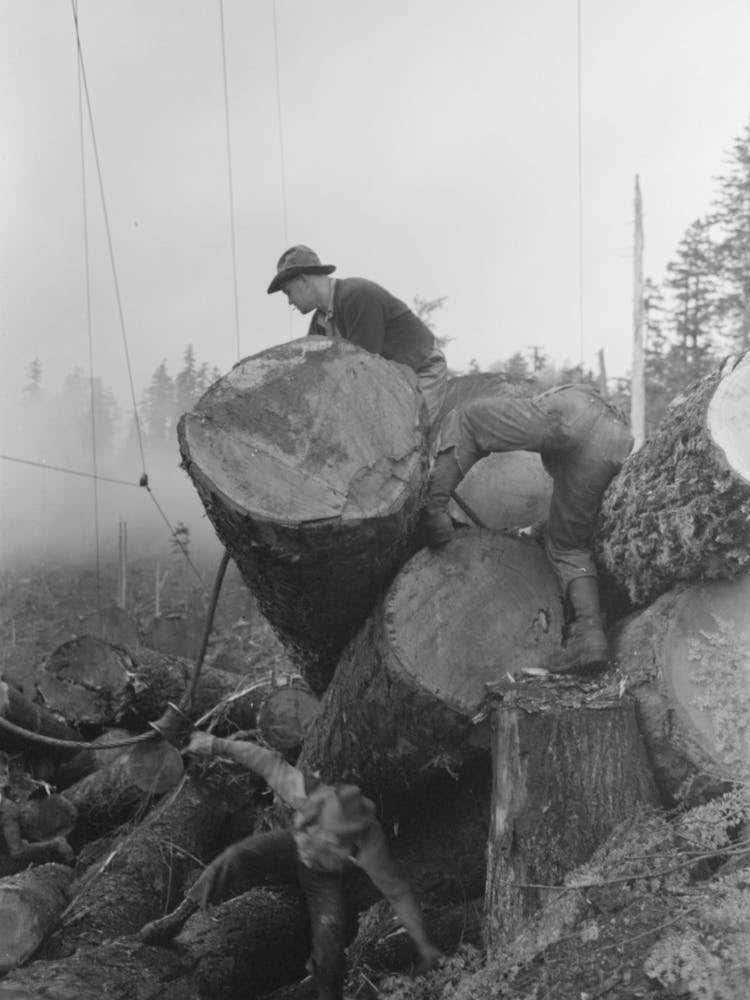 Untitled Photo, Possibly Related To The Choker Puts Choker Loop On Log For Transporting From Woods To Yard By