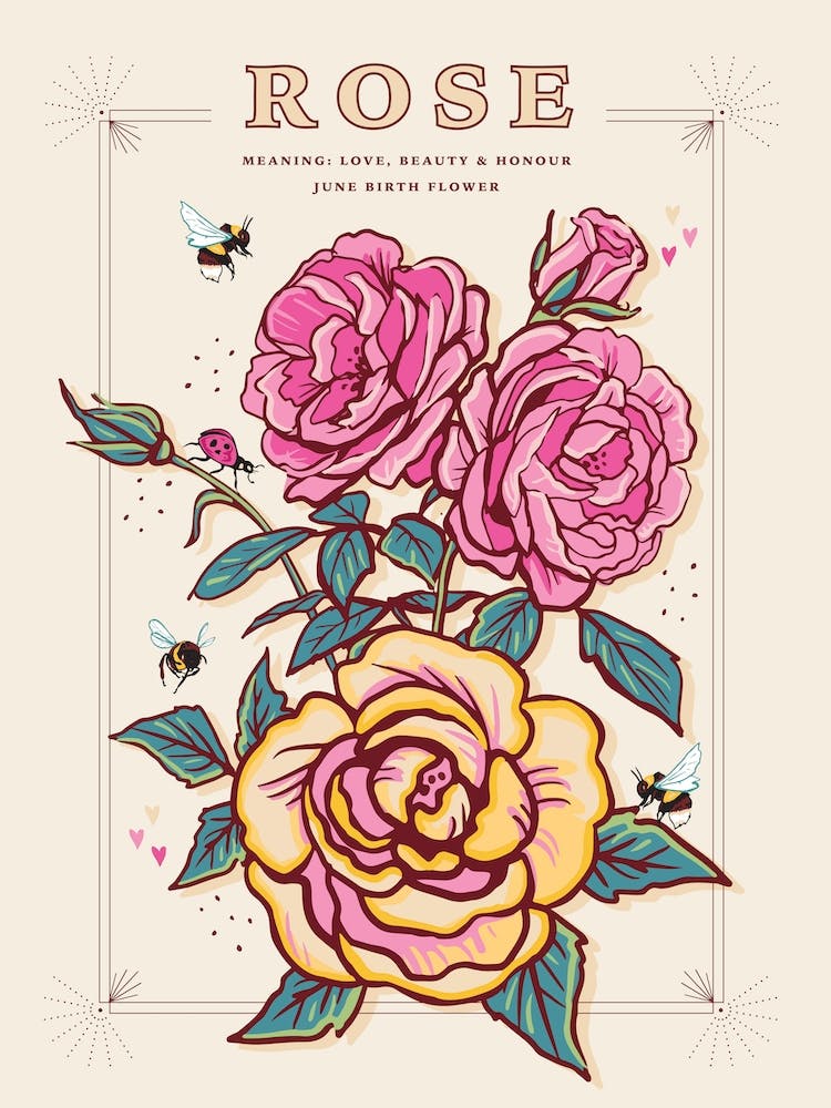 June Birth Flower Rose On Cream