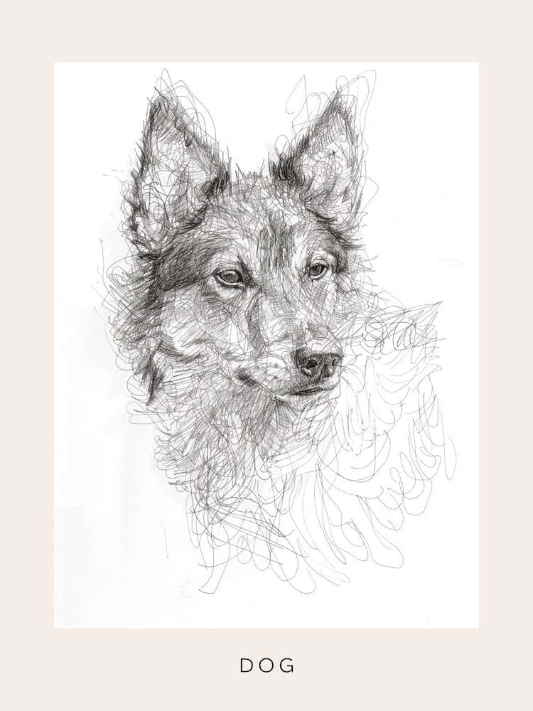 Furry Wire Haired Dog Line Sketch 3 Poster