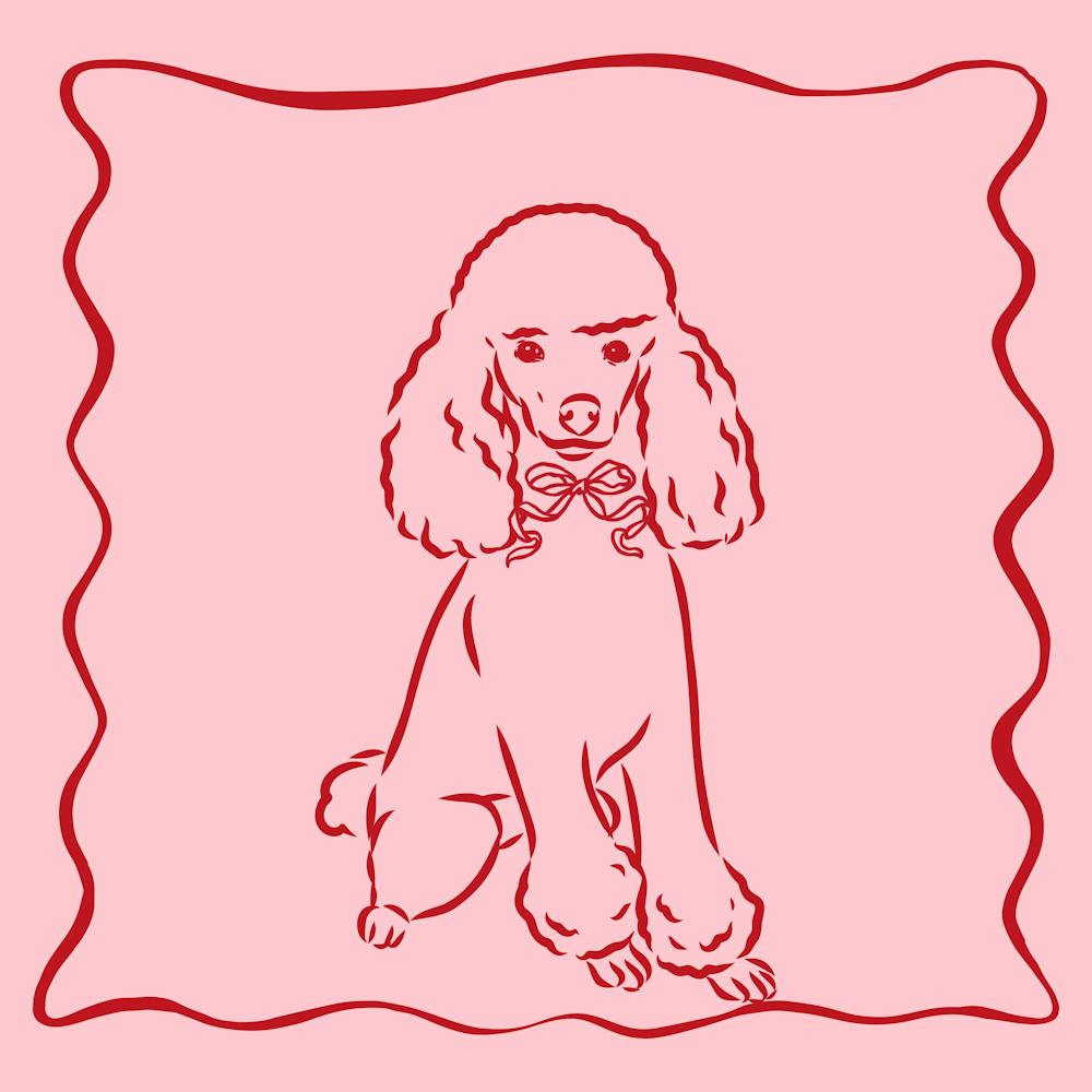 Poodle