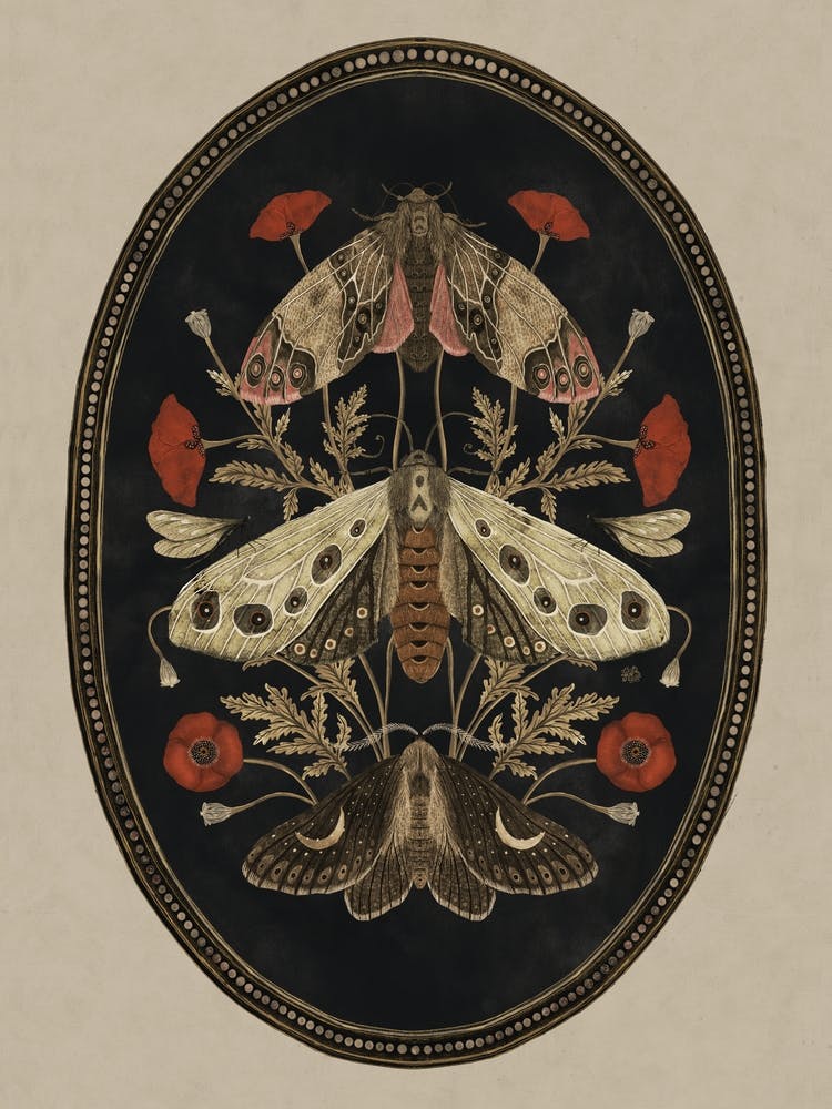Moths And Poppy flowers folk art