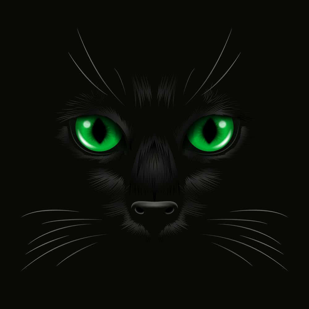 Black Cat With Green Eyes