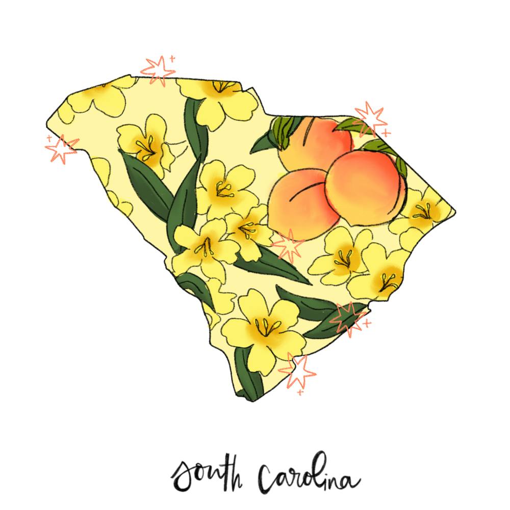 South Carolina - Illustrated States