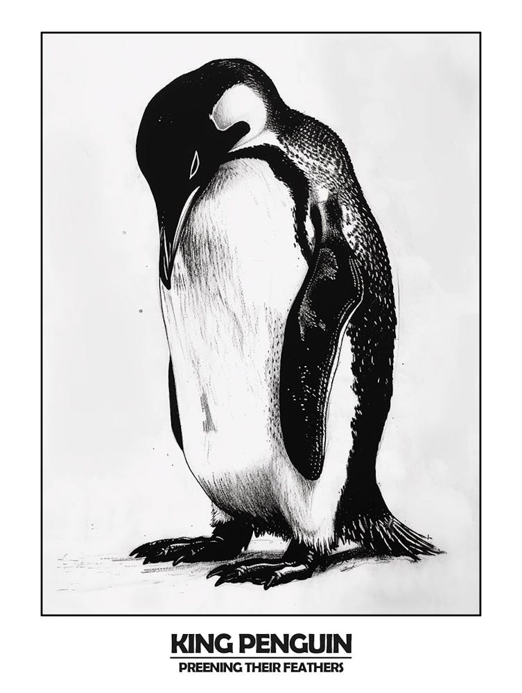 Penguin Preening Their Feathers Poster 7