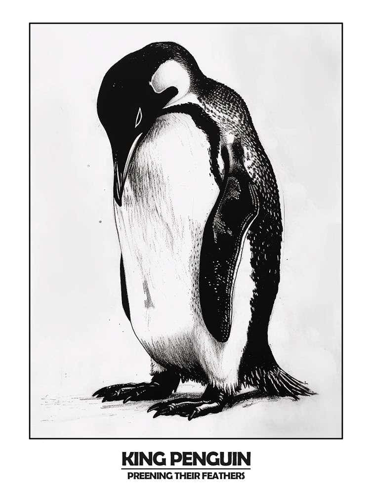 Penguin Preening Their Feathers Poster 7