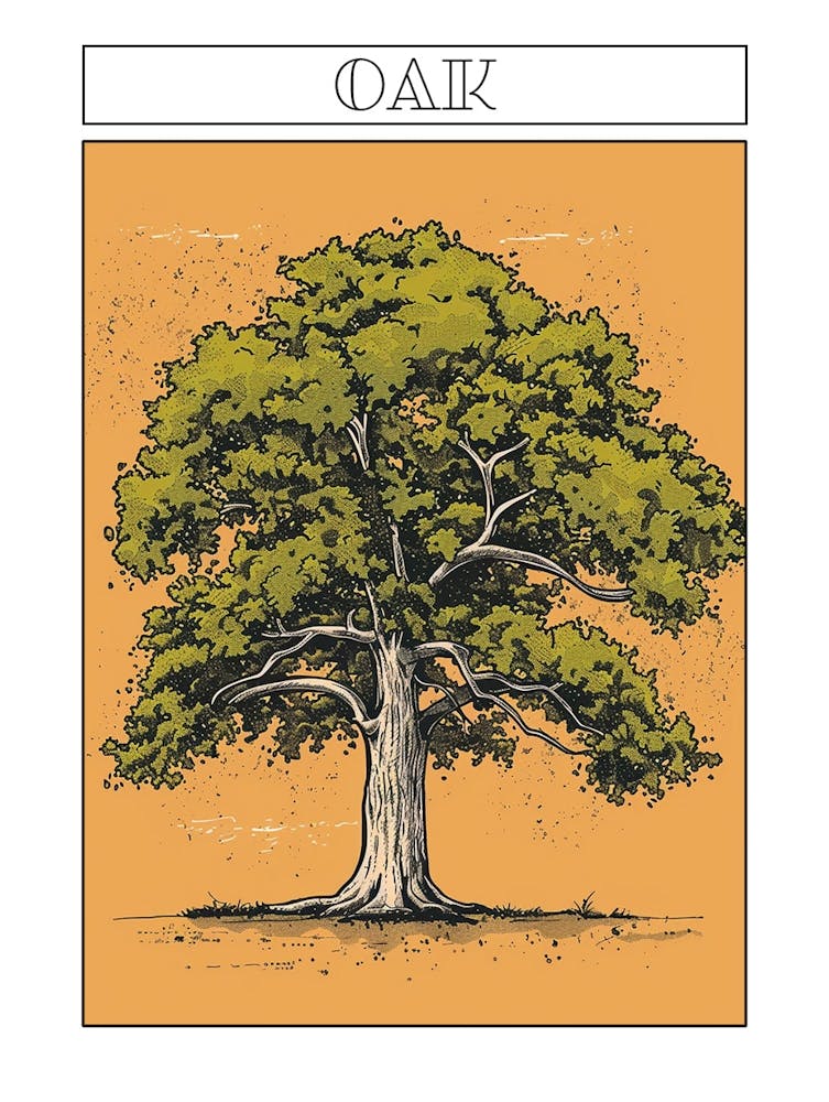 Oak Tree Minimalistic Drawing 4 Poster