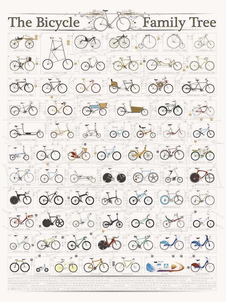Bicycle Family Tree