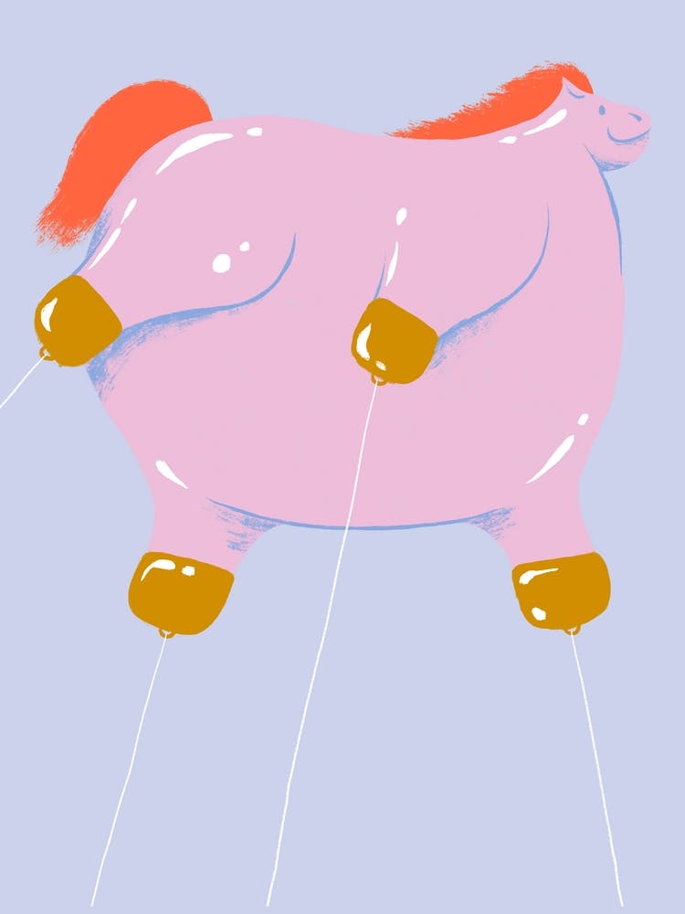Poney