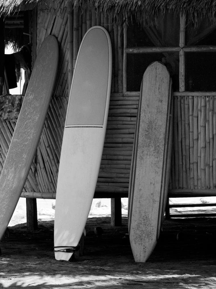 Surfboards On The Beach