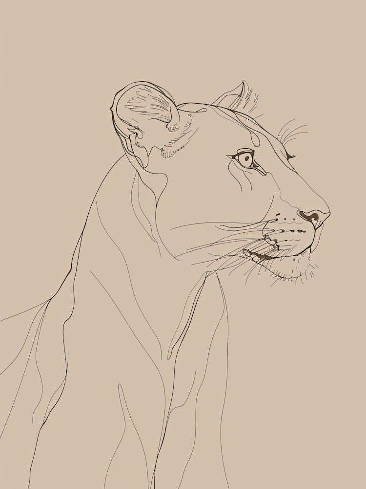 Lion Drawing - Boho, Line Art