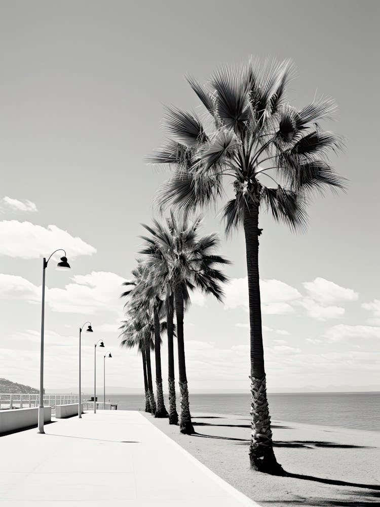 Cannes, France, Photography In Black And White 3