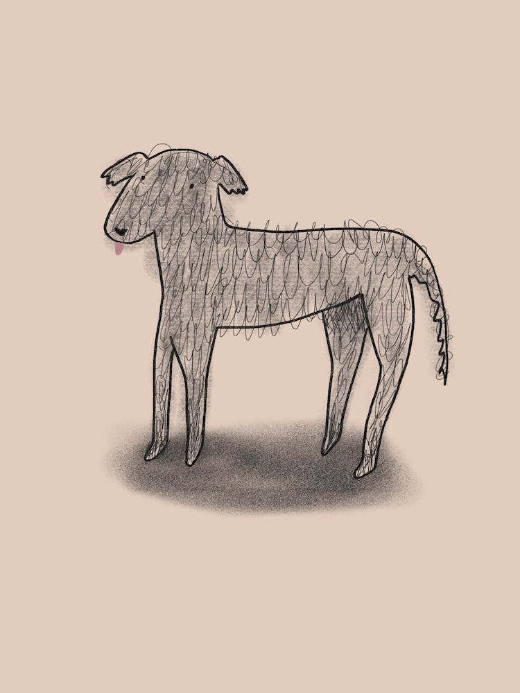 Irishwolfhound