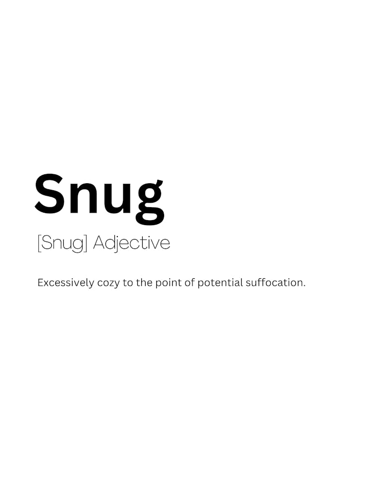 Snug Definition Meaning