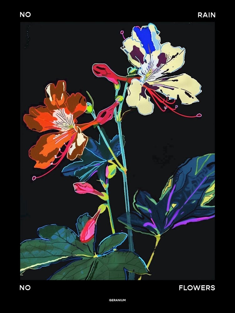 No Rain No Flowers Poster Geranium 1
