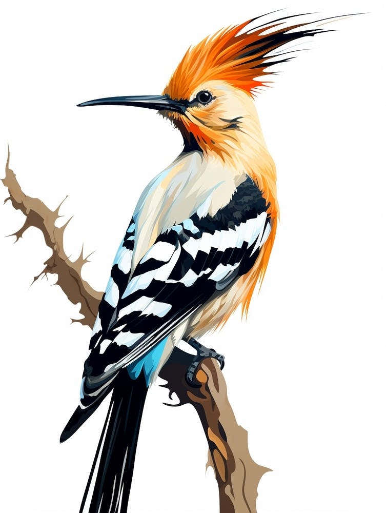 Colourful Geometric Bird Hoopoe 1
