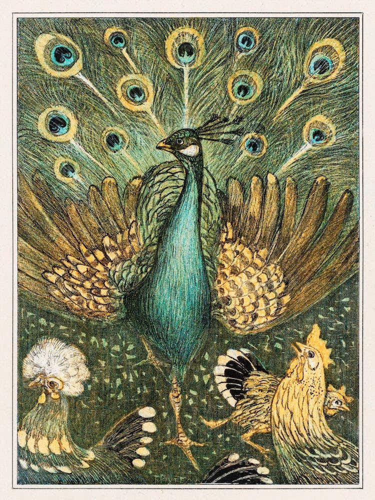 Pauw Met Kippen, Theo Van Hoytema Peacock