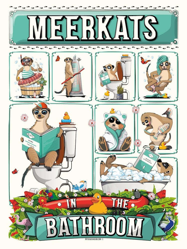 Meerkats in the Bathroom