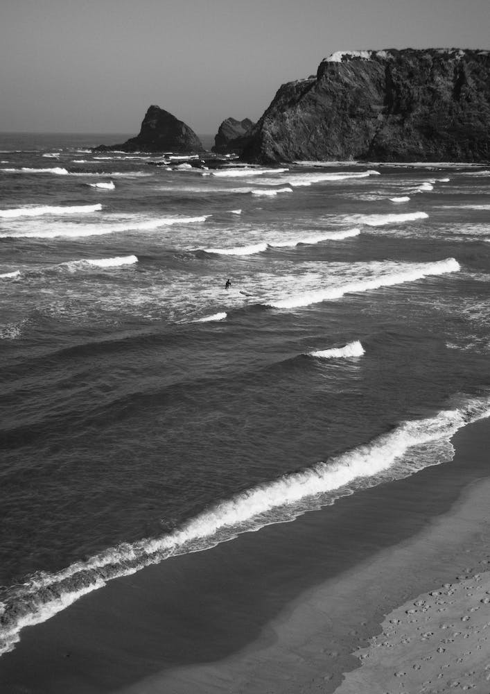 Surfers Delight