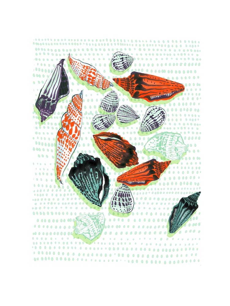 Shells