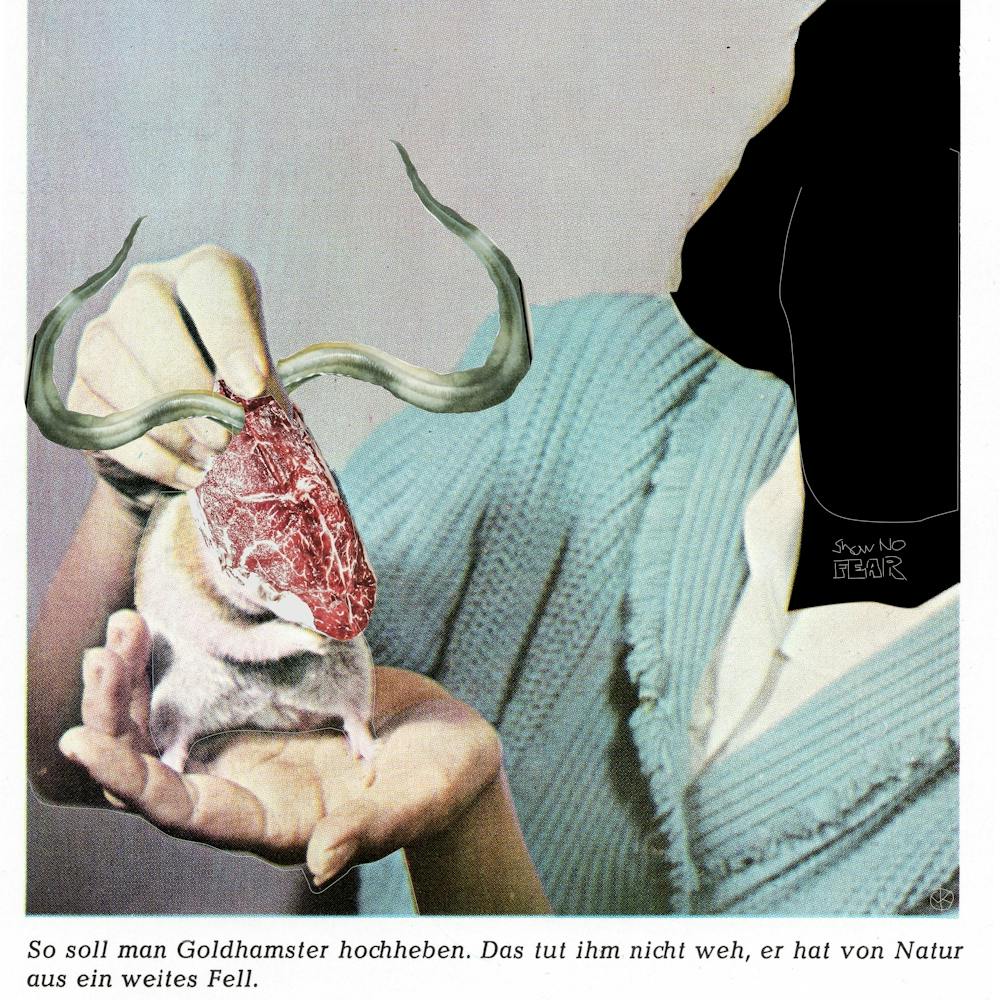 Das Nagende · Show Nno Fear