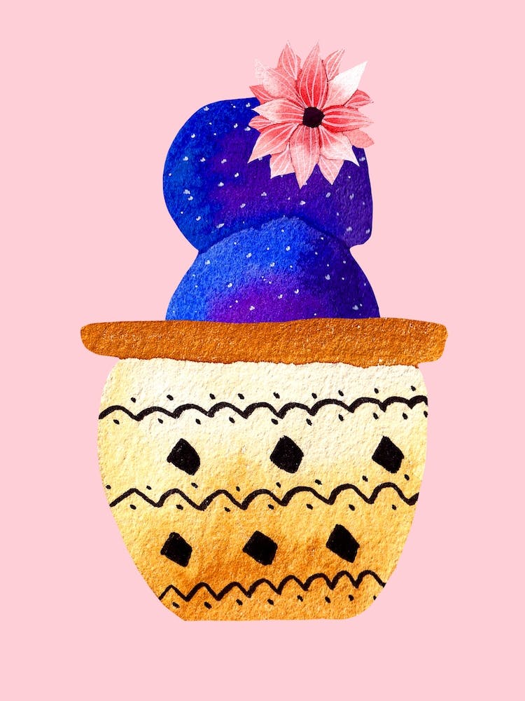 Galactic Cacti