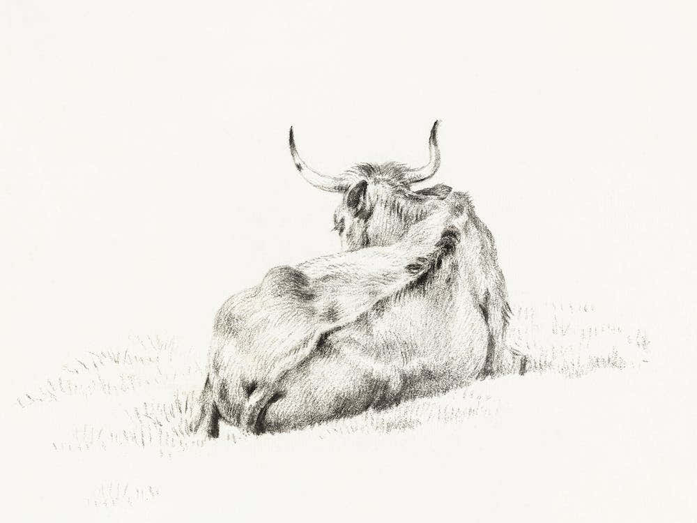 Lying Cow (1815), Jean Bernard