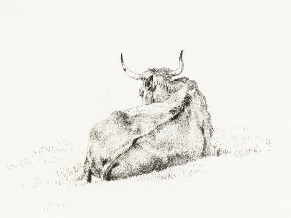 Lying Cow (1815), Jean Bernard