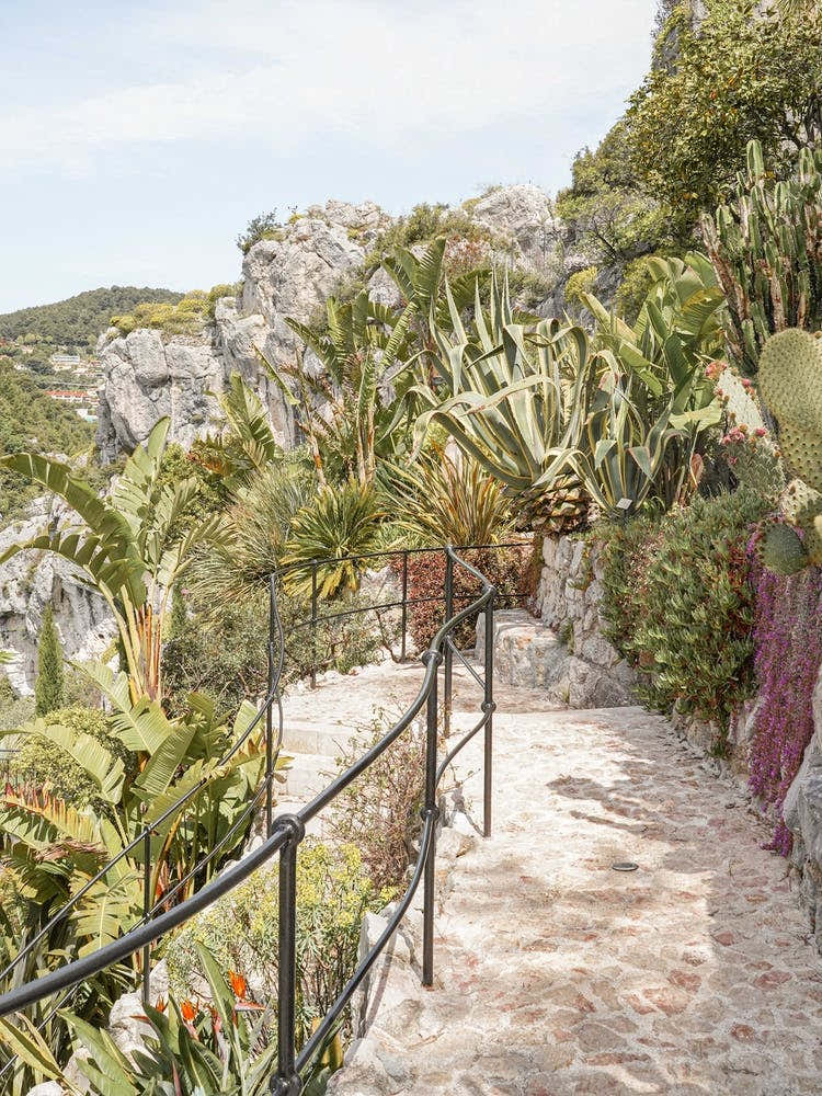 Botanical Garden In France